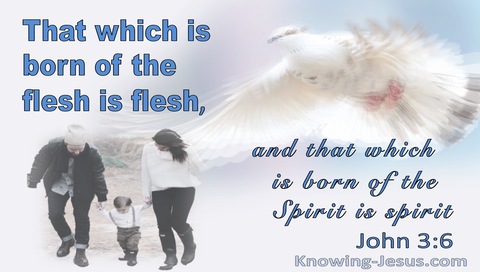 John 3:6 That Which Is Born Of The Flesh is Flesh (blue)